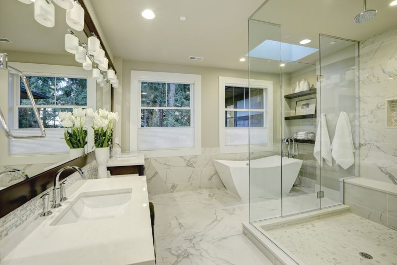 Elegant Bathtub Conversion to Shower